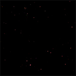 水滴（星空のような加工）の無料背景画像2（サムネイル）