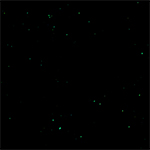 水滴（星空のような加工）の無料背景画像4（サムネイル）