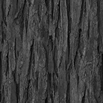 木の無料背景画像2（サムネイル）