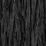 木の無料背景画像4（サムネイル）