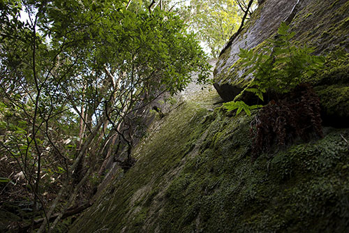 2015年12月撮影の風景写真19