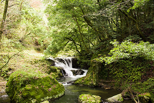 2015年11月撮影の風景写真48