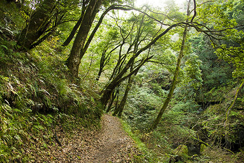 2015年11月撮影の風景写真53