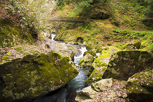 2015年11月撮影の風景写真46