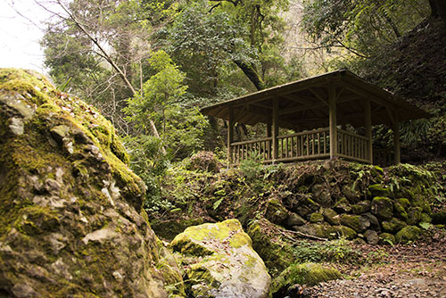 2015年11月撮影の風景写真73