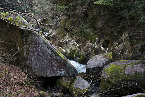 2015年12月撮影の風景写真7