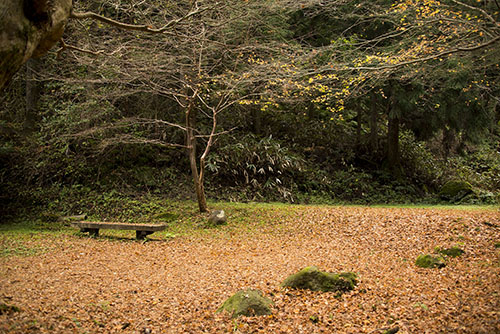 2015年11月撮影の風景写真66