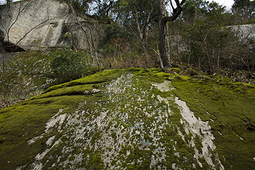 2015年12月撮影の風景写真22