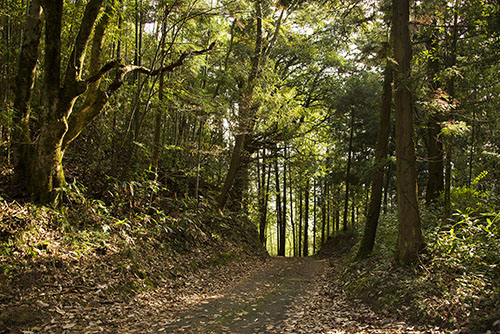 2015年11月撮影の風景写真21