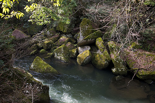 2015年12月撮影の風景写真14