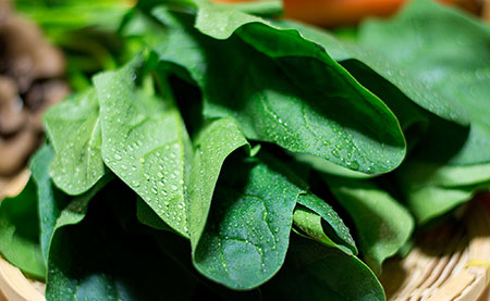 ほうれん草の写真