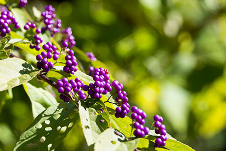 2015年10月撮影の風景写真10