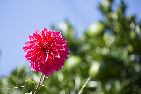 2015年10月撮影の風景写真15