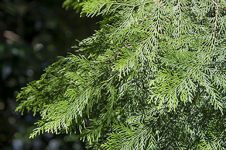 2015年10月撮影の風景写真27