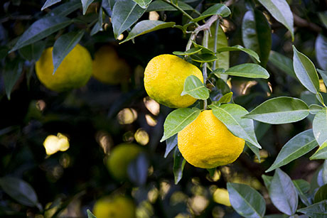 2015年10月撮影の風景写真3