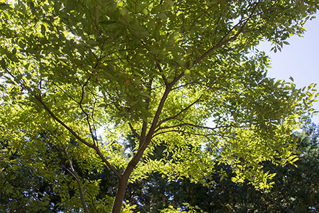 2015年10月撮影の風景写真32