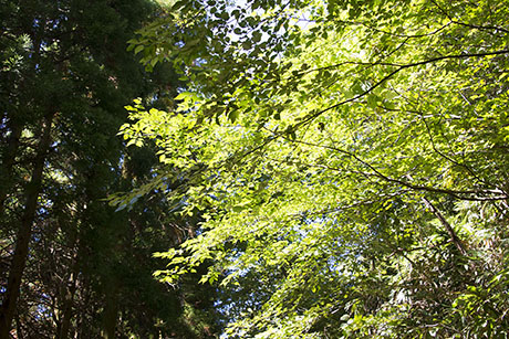 2015年10月撮影の風景写真33