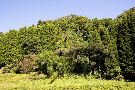 2015年10月撮影の風景写真36
