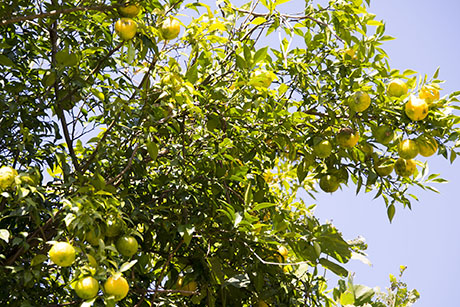 2015年10月撮影の風景写真4