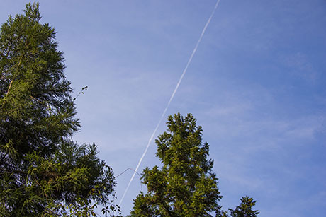 2015年11月撮影の風景写真31