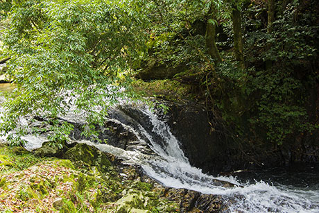 2015年11月撮影の風景写真49