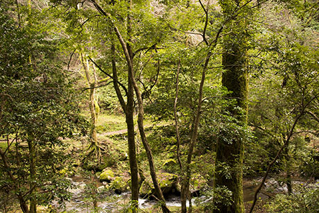2015年11月撮影の風景写真67