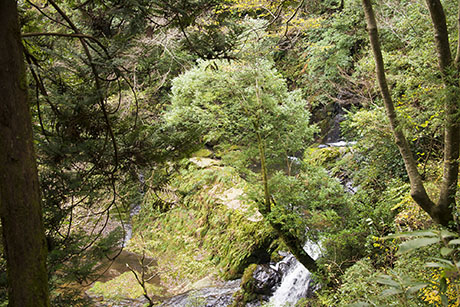 2015年11月撮影の風景写真69