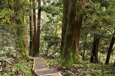 2015年11月撮影の風景写真75