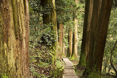 2015年11月撮影の風景写真76