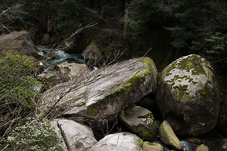 2015年12月撮影の風景写真20