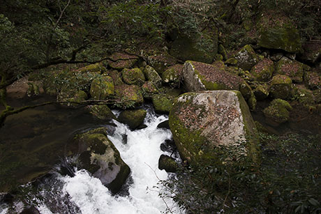 2015年12月撮影の風景写真39