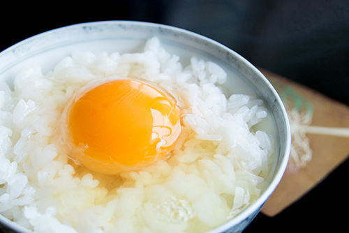 2016年9月撮影のフリー写真素材101「卵かけご飯」