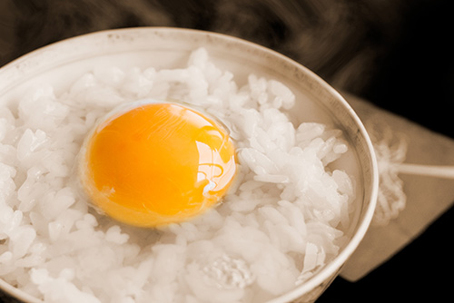 2016年9月撮影のフリー写真素材103「卵かけご飯」