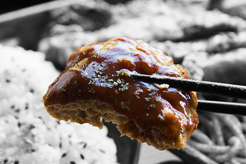 2016年9月撮影のフリー写真素材139「ハンバーグ」