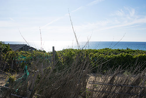 2017年6月撮影のフリー写真素材130「青い海と緑」