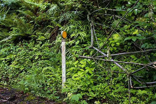 2017年6月撮影のフリー写真素材21「視線誘導標」