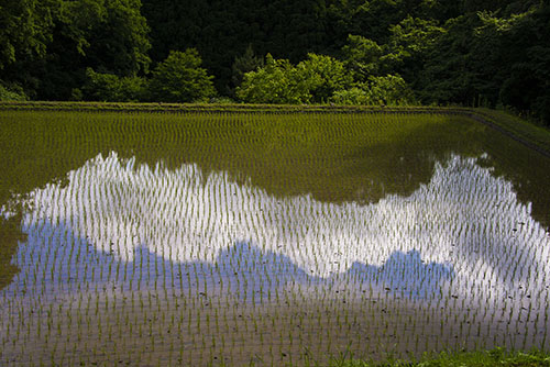 2017年6月撮影のフリー写真素材32「田んぼに映る青空」