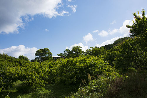2017年6月撮影のフリー写真素材45「山と青空」