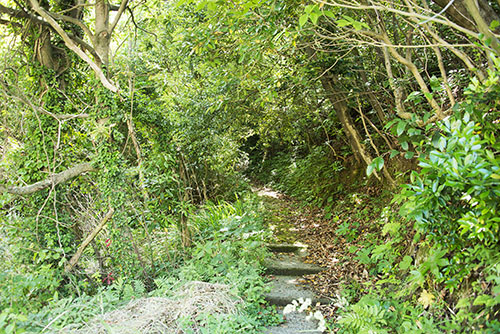 2017年6月撮影のフリー写真素材58「山道の入り口」