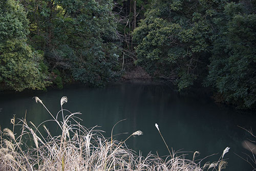 フリー写真素材198「山中の沼」