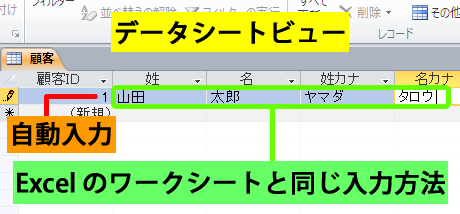 データシートビュー