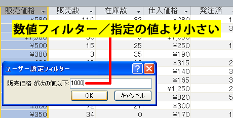 ユーザー設定フィルター