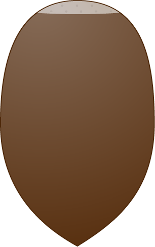 ドングリのフリー素材6