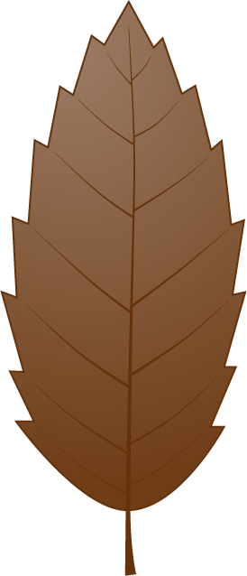 ドングリのフリー素材7