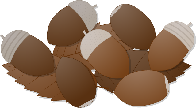 ドングリのフリー素材9