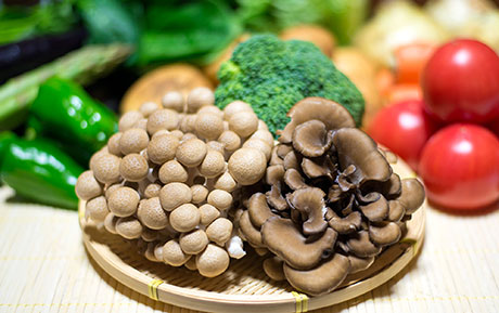 ブナシメジのフリー写真素材