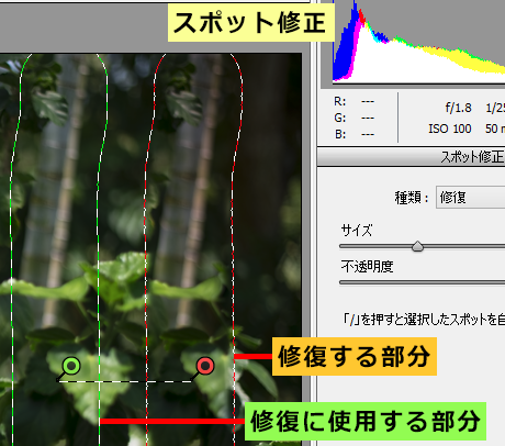 修復に使用する部分