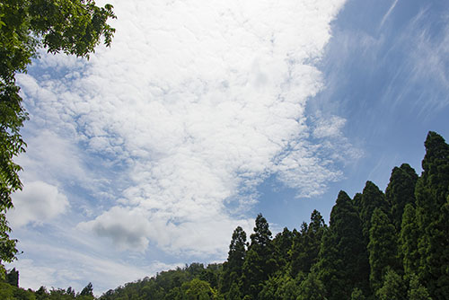 フリー写真素材164「青空と雲」