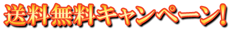 フリー素材「送料無料キャンペーン！」パターン13