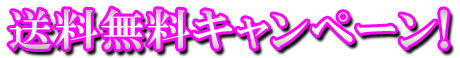 フリー素材「送料無料キャンペーン！」パターン14